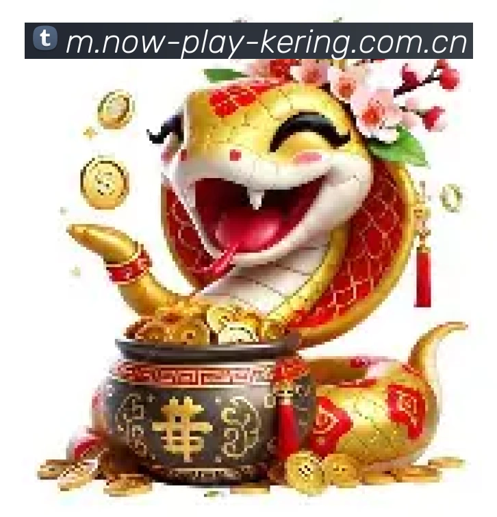 专业功能展示